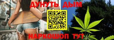 сатива Гай